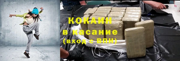 прущие грибы Медногорск