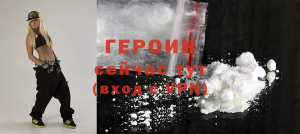 прущие грибы Медногорск