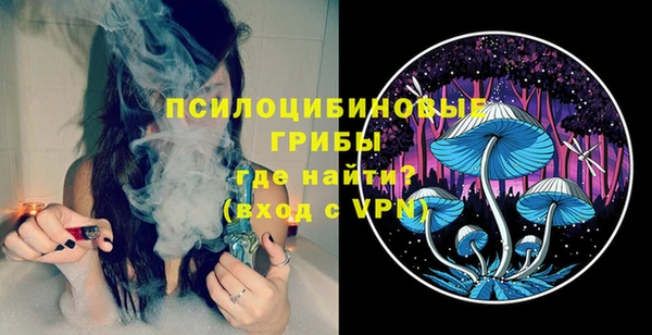 прущие грибы Медногорск