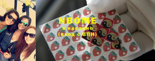прущие грибы Медногорск