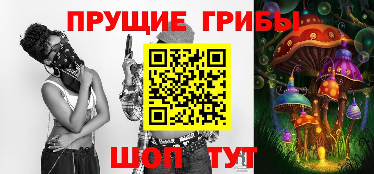 Владикавказ  Псилоцибиновые грибы прущие грибы  Вход с VPN  купить наркоту  Псилоцибиновые грибы мицелий 